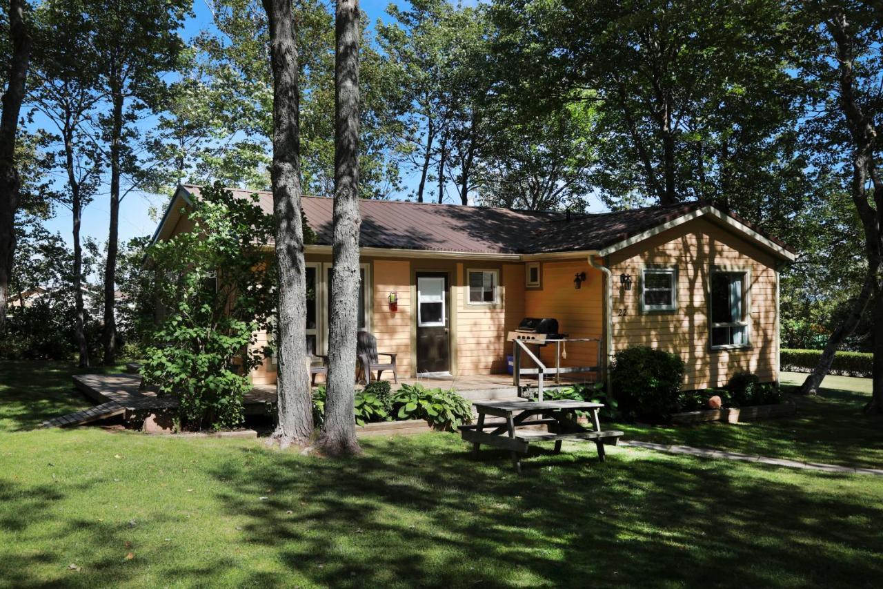 Maples Cavendish