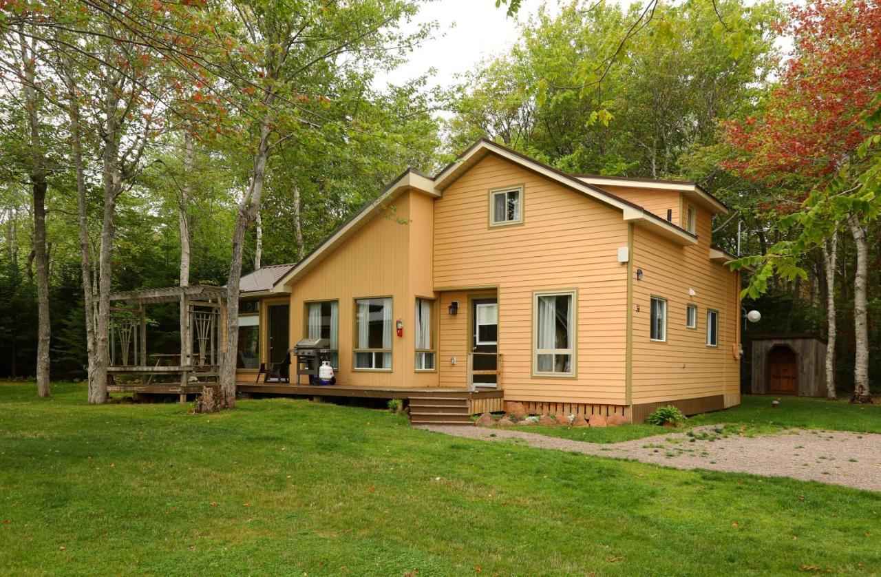 Maples 4*